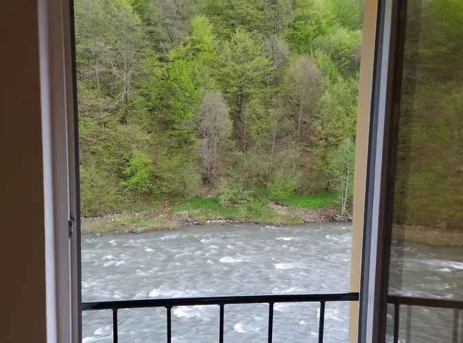 Daire Panorama *