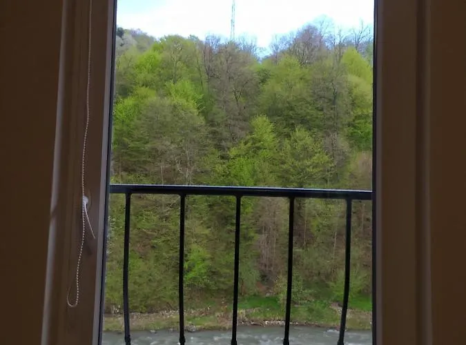 Panorama Daire Kvasy
