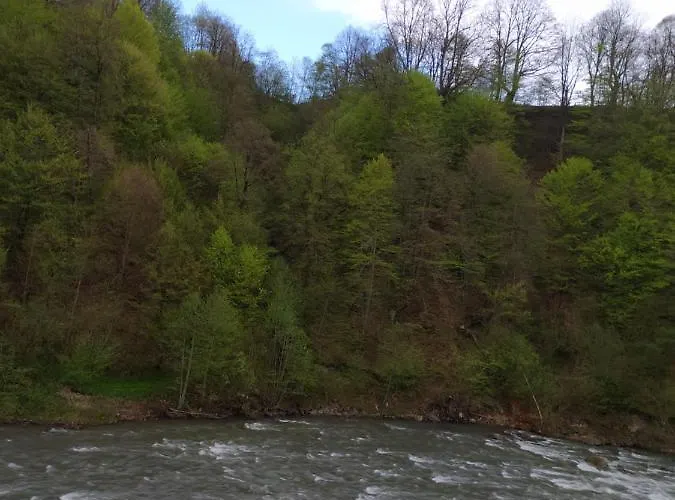 Daire Panorama Kvasy