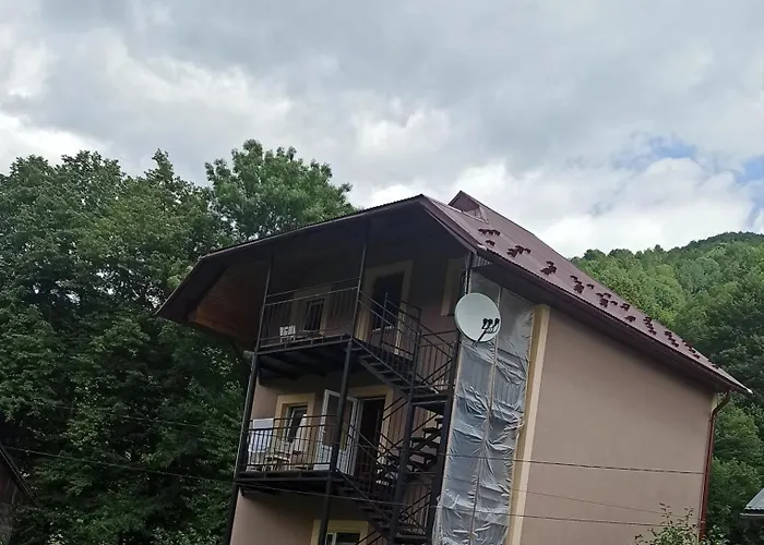 Daire Panorama Kvasy
